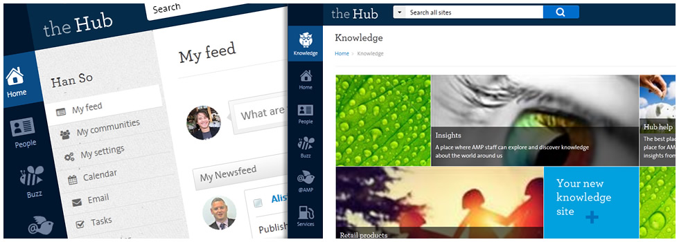 AMP Hub - Knowledge Insights